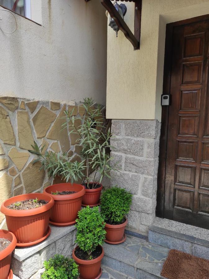 Apartmán Рибарска 8 Sozopol Exteriér fotografie